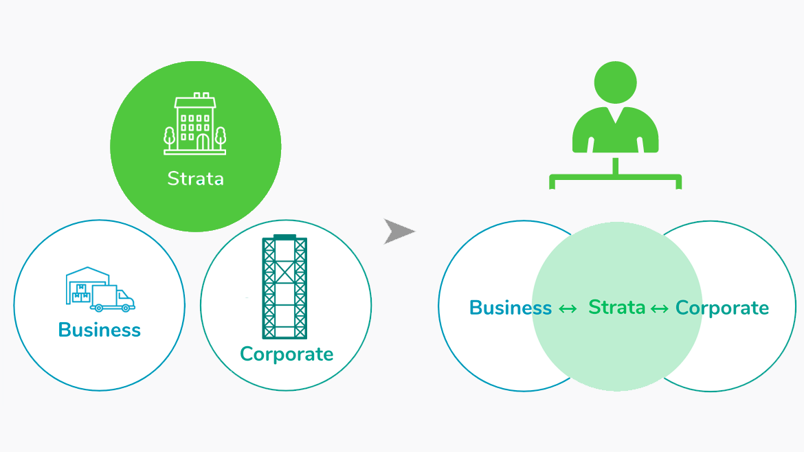 How do the customer segments of strata, small business and corporate fit together?